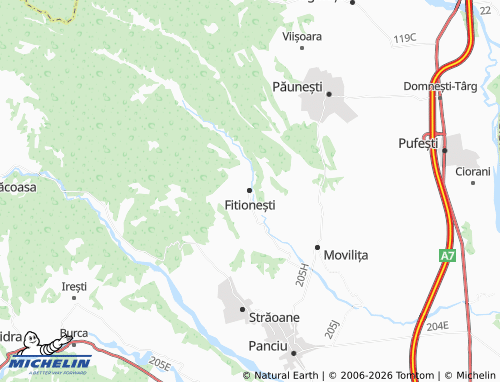 MICHELIN Fitionești map - ViaMichelin
