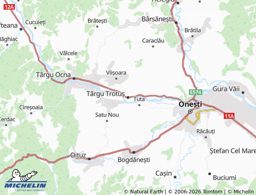 MICHELIN Târgu Trotuș map - ViaMichelin