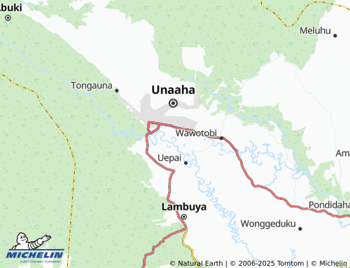 MICHELIN Tuoy map - ViaMichelin