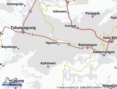 MICHELIN-Landkarte Ngunut - ViaMichelin