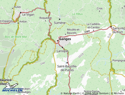 Mappa MICHELIN Laroque - ViaMichelin