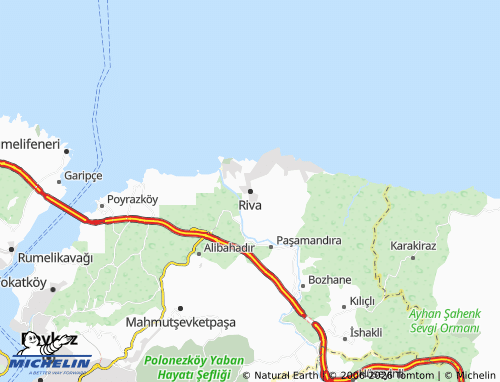 MICHELIN Riva map - ViaMichelin