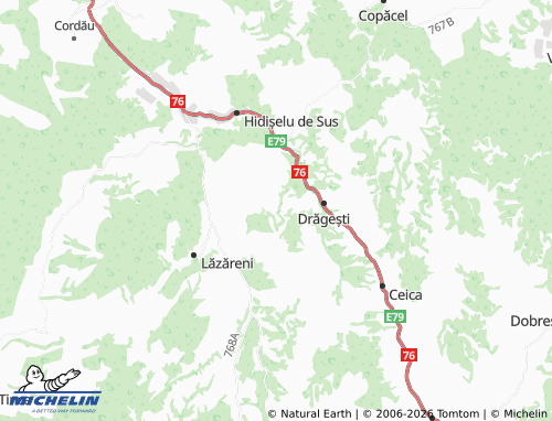Carte MICHELIN Dicănești - ViaMichelin