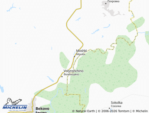 MICHELIN-Landkarte Moshki - ViaMichelin