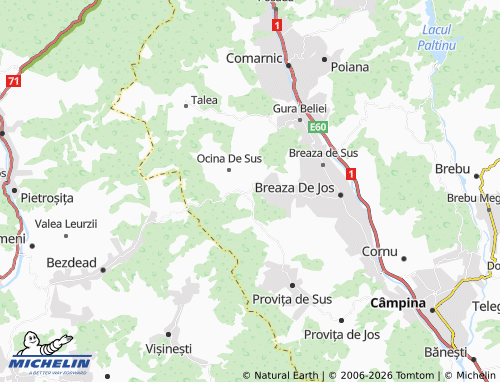 Mapa MICHELIN Adunați - ViaMichelin
