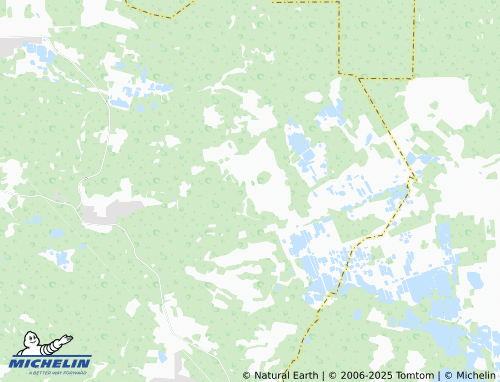 MICHELIN Lyshchikovo map - ViaMichelin