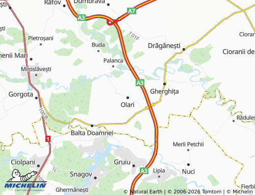MICHELIN Olari map - ViaMichelin