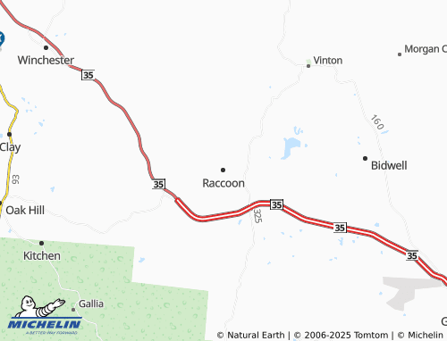 MICHELIN Raccoon map - ViaMichelin
