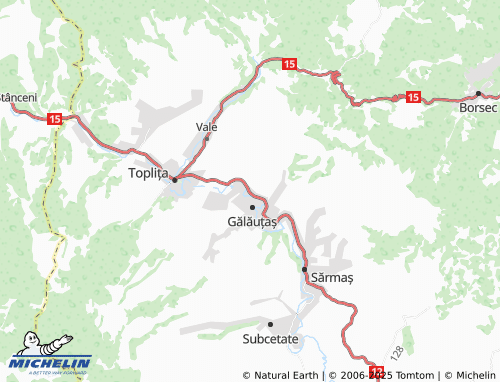 MICHELIN Toleșeni map - ViaMichelin