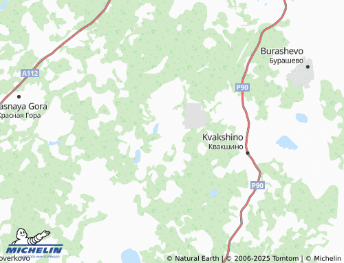 MICHELIN Ryazanovo map - ViaMichelin
