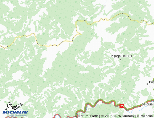 MICHELIN Incești map - ViaMichelin