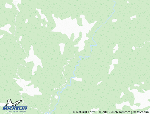 MICHELIN Guazizaco map - ViaMichelin
