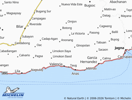 MICHELIN Danao map - ViaMichelin