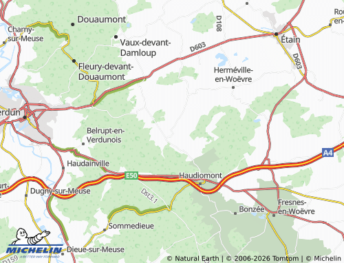 MICHELIN Mandre map - ViaMichelin