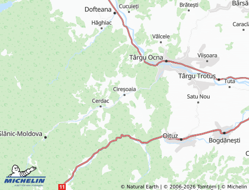 MICHELIN Cireșoaia map - ViaMichelin