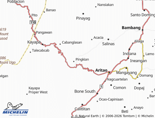MICHELIN Baan map - ViaMichelin