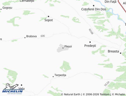 Carte MICHELIN Pleșoi - ViaMichelin