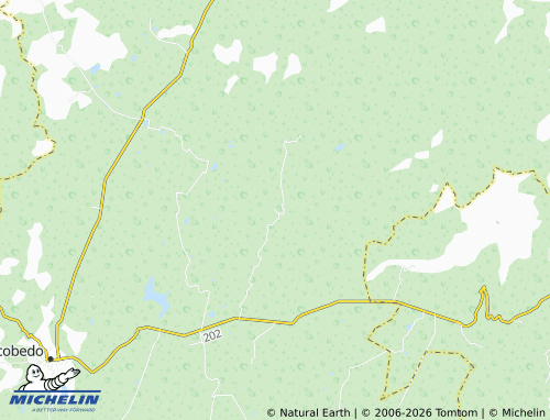 Mappa MICHELIN El Capulín de los Ruiz - ViaMichelin