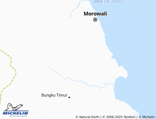 MICHELIN Bahonto Bungku map - ViaMichelin