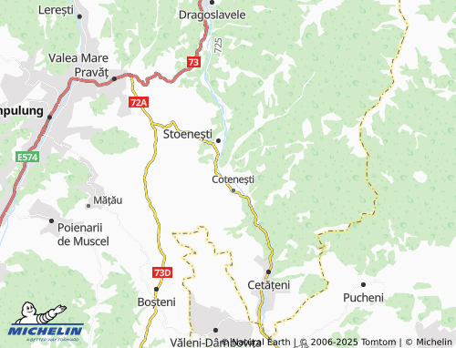 MICHELIN Bădeni map - ViaMichelin