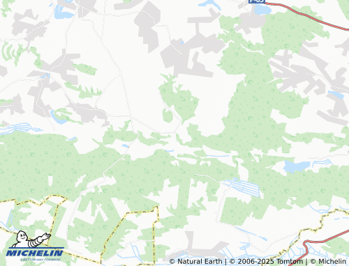MICHELIN Bushcha map - ViaMichelin