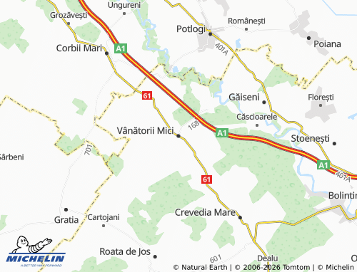 MICHELIN Vânătorii Mici map - ViaMichelin