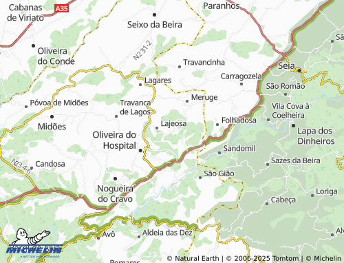 Carte MICHELIN Lagos da Beira - ViaMichelin