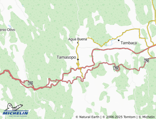MICHELIN-Landkarte Tamasopo - ViaMichelin