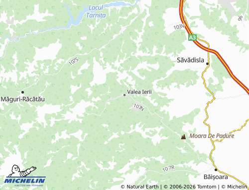MICHELIN Valea Ierii map - ViaMichelin