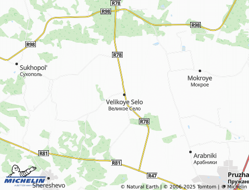 Carte MICHELIN Velikoye Selo - ViaMichelin