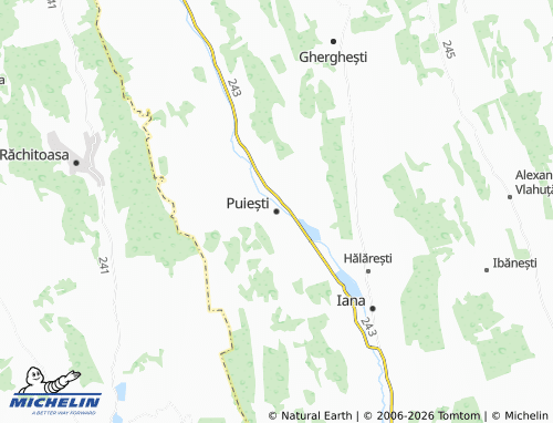 Mapa MICHELIN Puiești - ViaMichelin