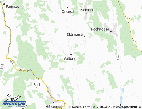 Mappa MICHELIN Vultureni - ViaMichelin