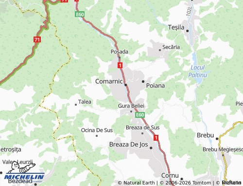 Carte MICHELIN Ghioșești - ViaMichelin