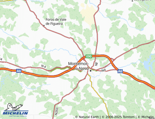 MICHELIN Ferro de Agulha map - ViaMichelin