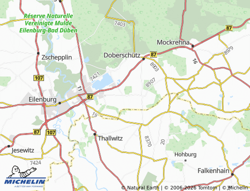 MICHELIN Paschwitz map - ViaMichelin