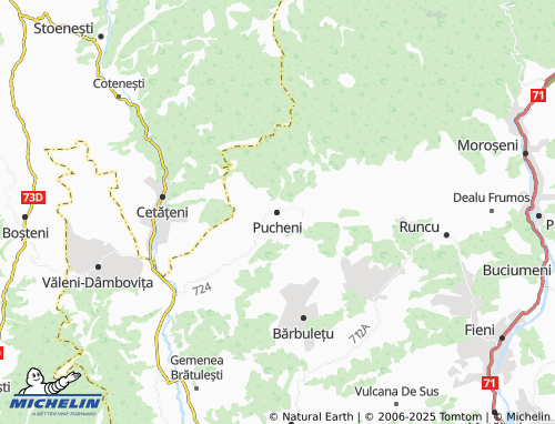 MICHELIN Pucheni map - ViaMichelin