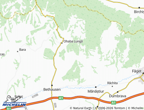 Carte MICHELIN Ierșnic - ViaMichelin