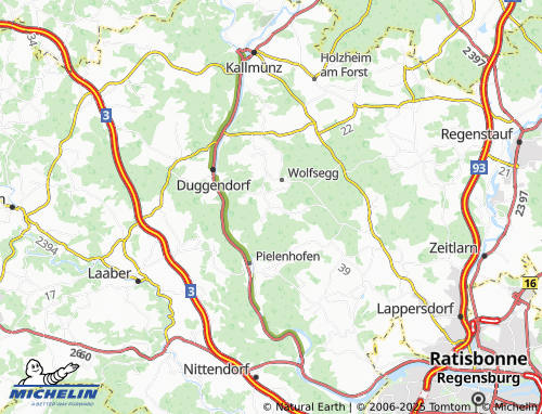 MICHELIN Wall map - ViaMichelin
