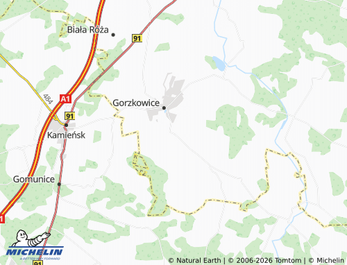 MICHELIN Plucice map - ViaMichelin
