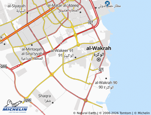 Mapa MICHELIN al-Wakeer 91 - ViaMichelin