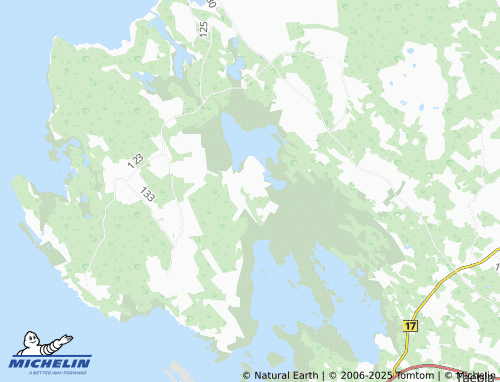 MICHELIN Saare map - ViaMichelin