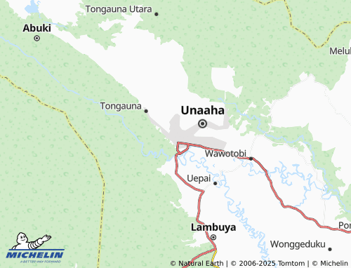 MICHELIN Inolobunggadue map - ViaMichelin