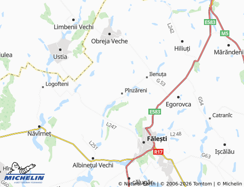 MICHELIN Pînzăreni map - ViaMichelin