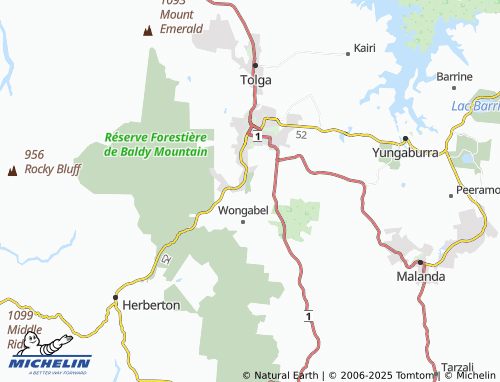 Mappa MICHELIN Carrington - ViaMichelin