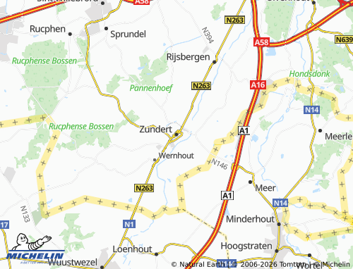 MICHELIN Zundert map - ViaMichelin