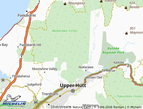 Mapa MICHELIN Craigs Flat - ViaMichelin