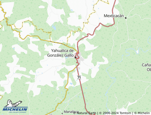 Mapa MICHELIN Yahualica de González Gallo - ViaMichelin