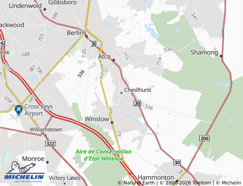 Kaart MICHELIN Chesilhurst - ViaMichelin
