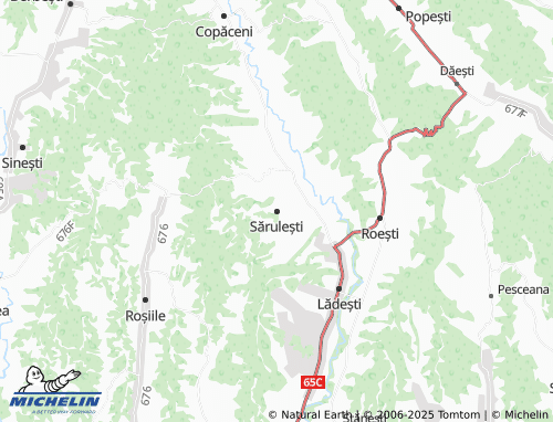 MICHELIN Sărulești map - ViaMichelin