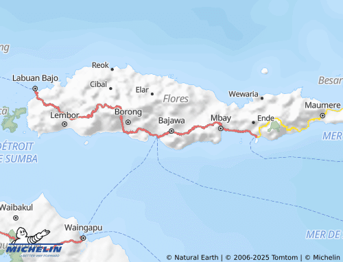 MICHELIN Ngada map - ViaMichelin